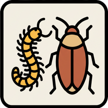 Tarantula & Invertebrate Supplies and Care Guide