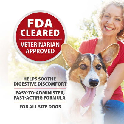 Jeffers Diawin Digestive Support for Dogs – Bismuth Tummy Relief for Diarrhea