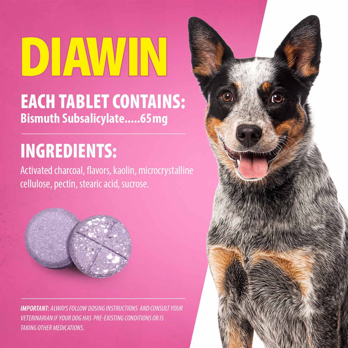 Jeffers Diawin Digestive Support for Dogs – Bismuth Tummy Relief for Diarrhea