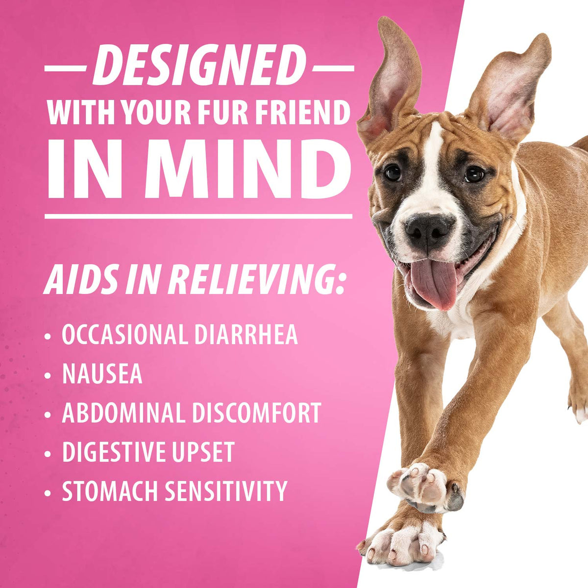 Jeffers Diawin Digestive Support for Dogs – Bismuth Tummy Relief for Diarrhea
