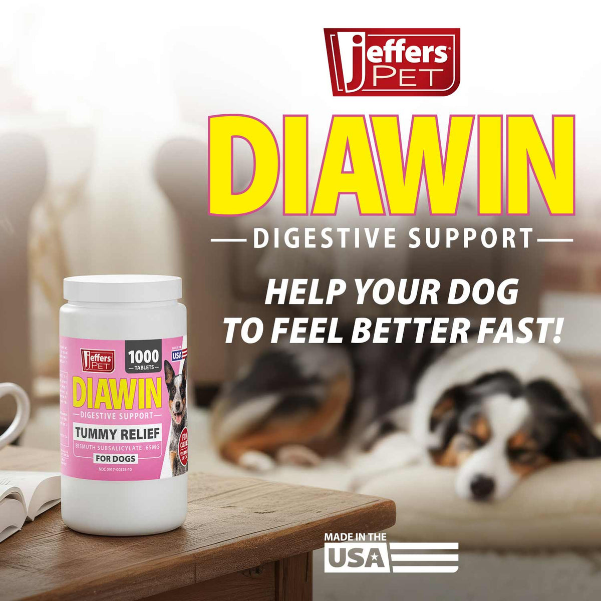 Jeffers Diawin Digestive Support for Dogs – Bismuth Tummy Relief for Diarrhea