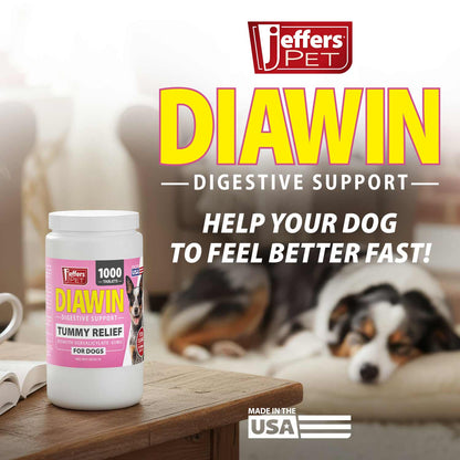 Jeffers Diawin Digestive Support for Dogs – Bismuth Tummy Relief for Diarrhea