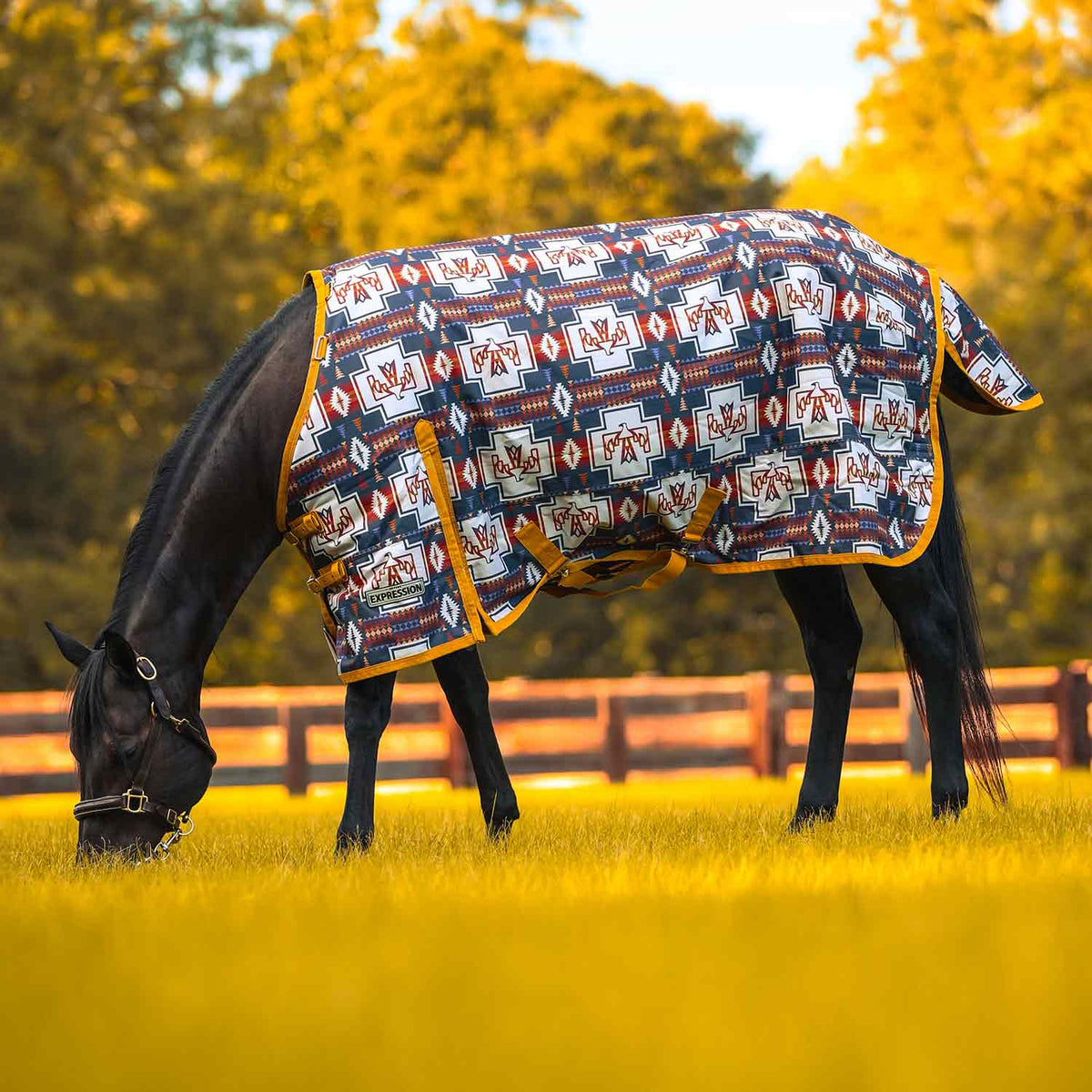 Jeffers Expression 1200 denier waterproof standard neck horse turnout sheet in buffalo check pattern