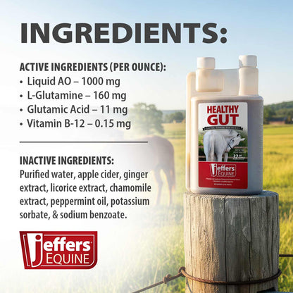 Jeffers Healthy Gut Gastric Support Liquid Supplement for Horses