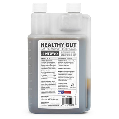 Jeffers Healthy Gut Gastric Support Liquid Supplement for Horses
