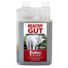 Jeffers Healthy Gut Gastric Support Liquid Supplement for Horses