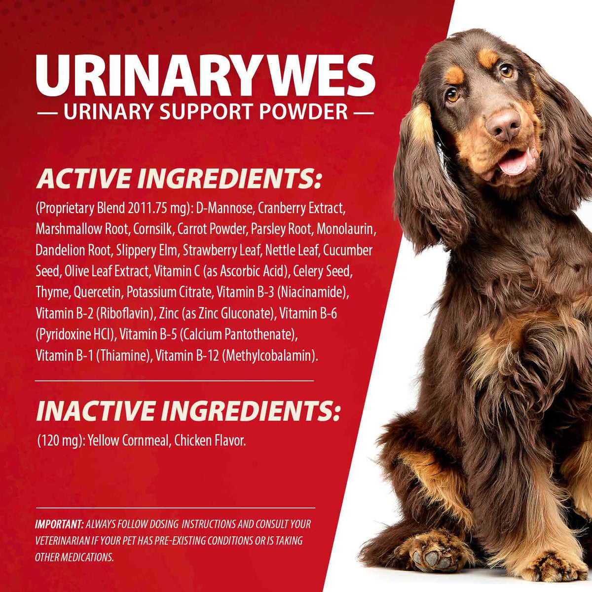 Jeffers UrinaryWes Urinary Support Powder with D-Mannose for Dogs & Cats