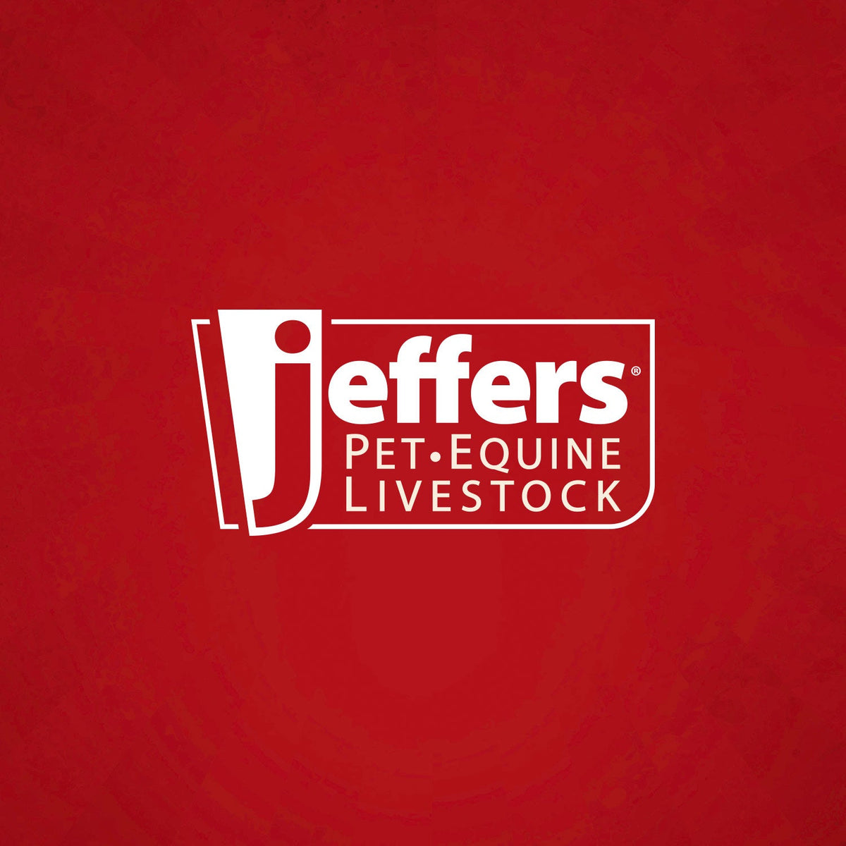 Jeffers Luer Lock Syringe/Needle Combo, Box of 100