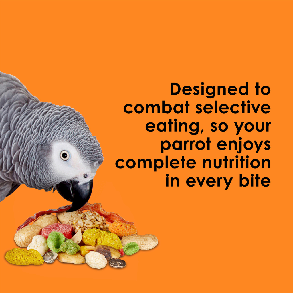 Kaytee Fiesta Parrot Bird Food