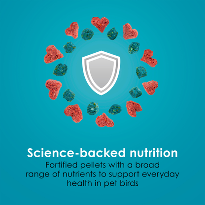 Kaytee Forti-Diet Pro Health Nourish+Protect Parrot Bird Food