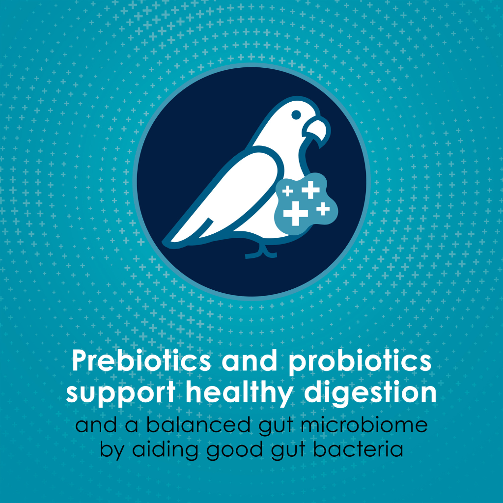 Kaytee Forti-Diet Pro Health Nourish+Protect Parrot Bird Food