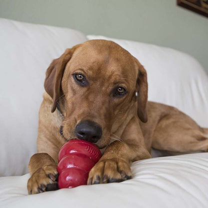 KONG Holiday Easy Treat® Turkey & Sweet Potato – Stuffable Dog Treat, Low-Calorie, Perfect for KONG Toys