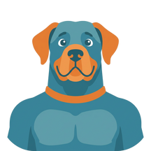 Large Breed Dog Supplies, Food & Care Guides
