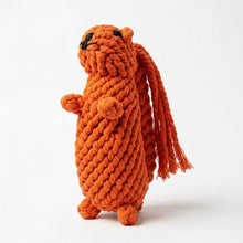 Oliver the Squirrel Rope Toy