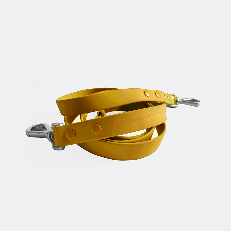 Leash