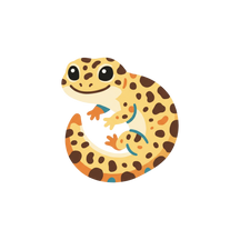 Leopard Gecko Supplies, Food & Care Guides