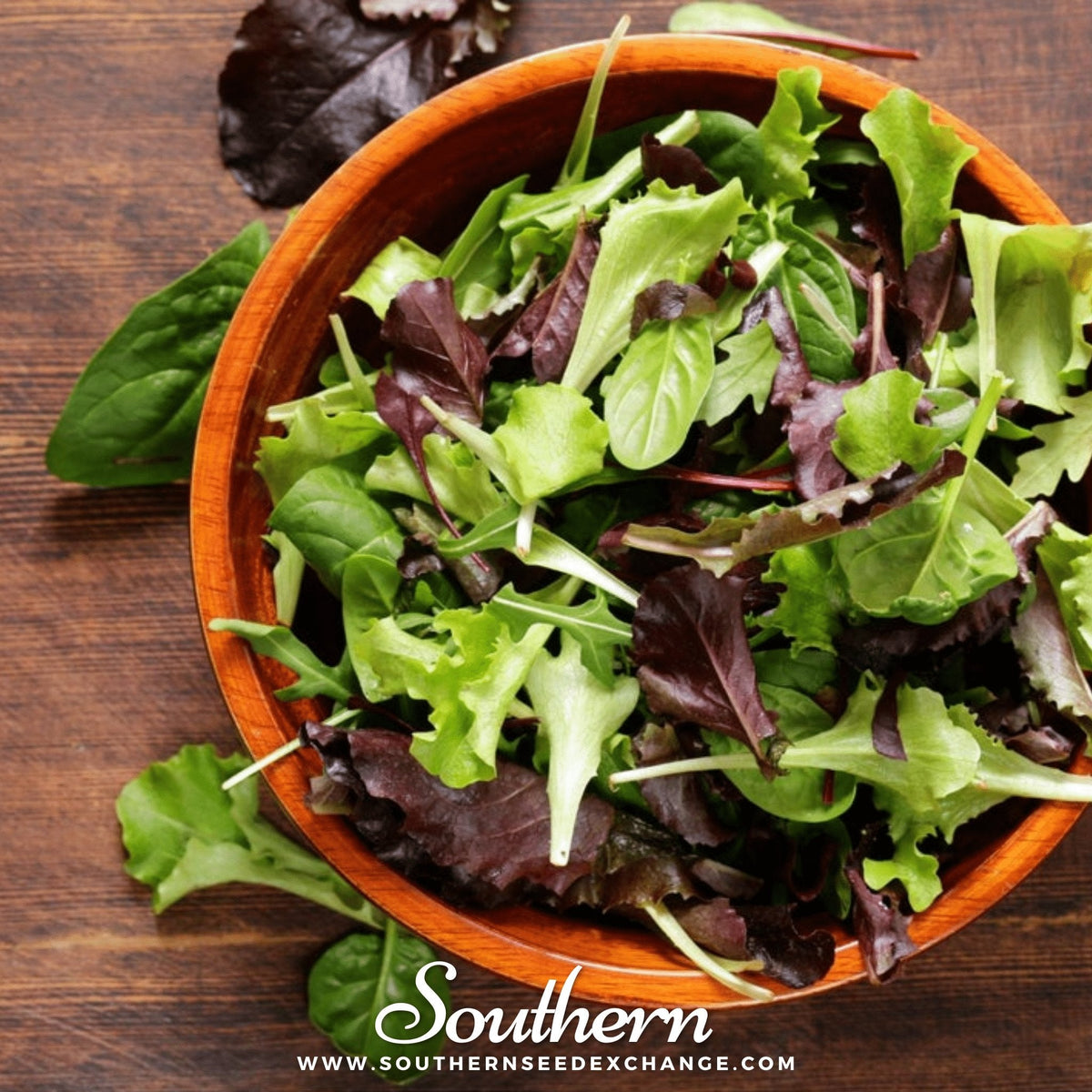 Gourmet Lettuce Seed Mix – 500 Heirloom Lettuce Seeds for Salad Greens, Leafy Greens, Open Pollinated Lactuca sativa