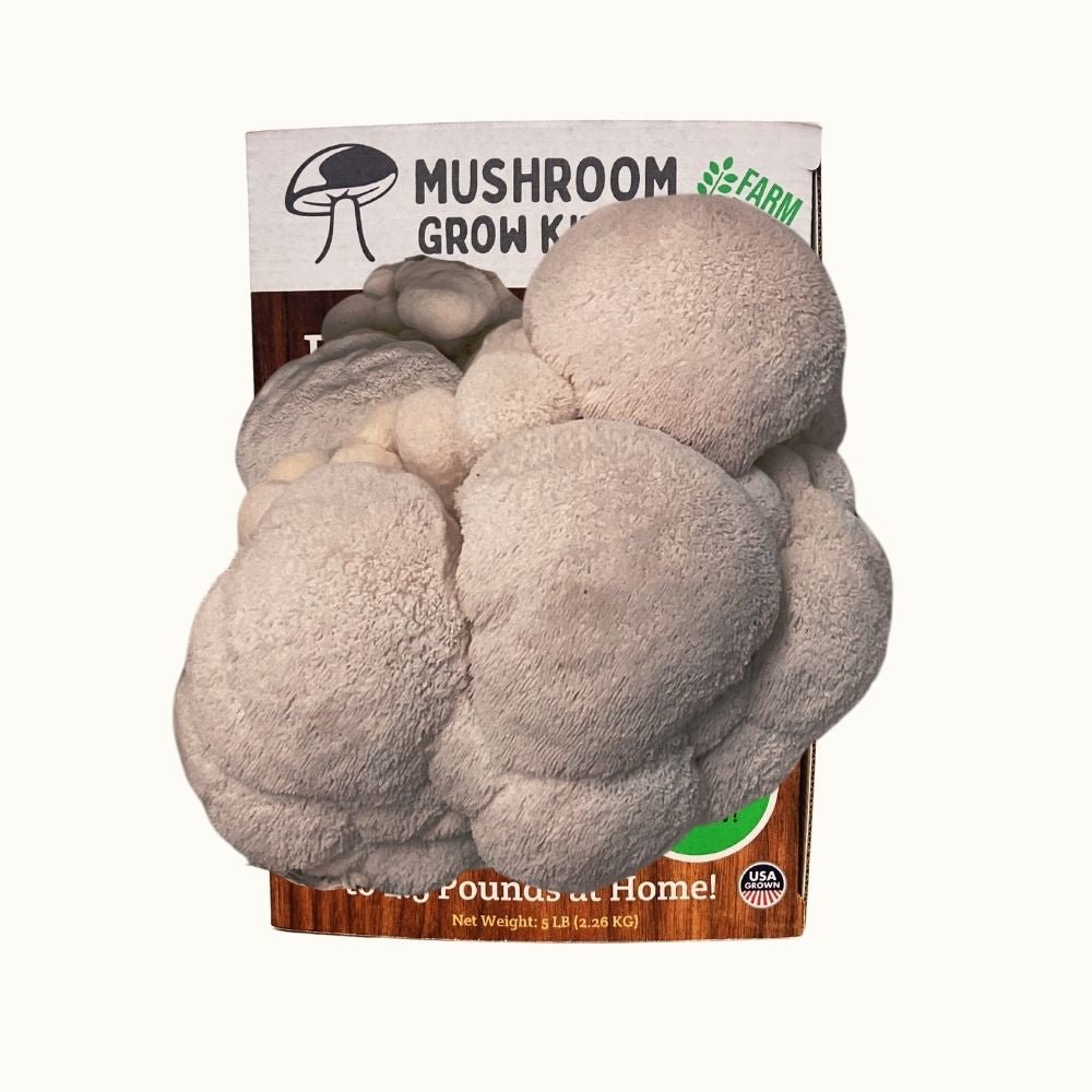 3 Pack - Lion's Mane, Pink, and Blue Oyster Mushroom Growing Kit - 15 LBS