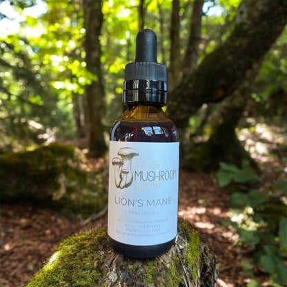 Lions Mane Tincture – Focus & Cognitive Support