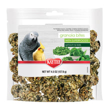 Kaytee Super Food Granola Bites Spinach and Kale Avian Treat 4.5oz