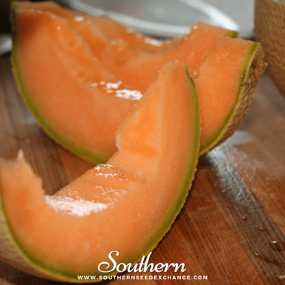 Hales Best Jumbo Cantaloupe – 50 Seeds
