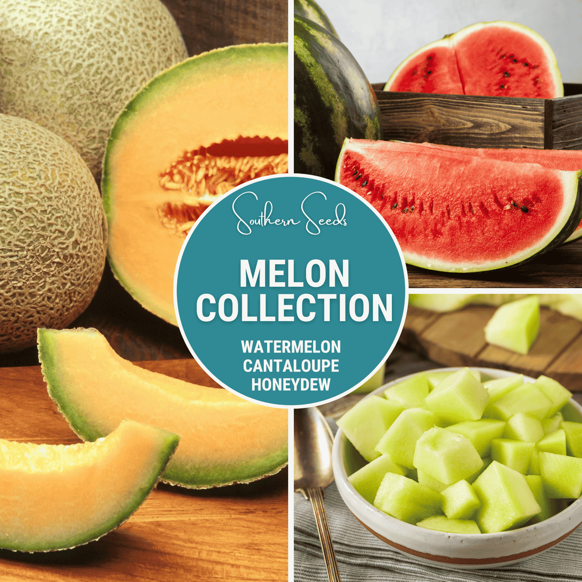 Melon Seed Collection Watermelon Cantaloupe Honeydew Heirloom Non-GMO Seeds for Garden Growth