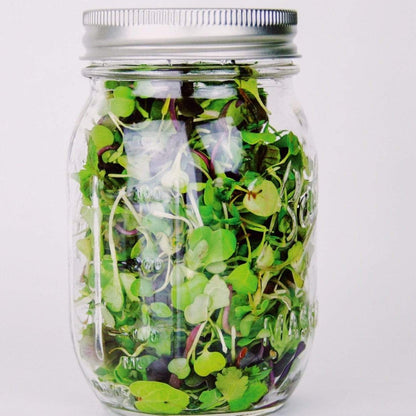 Southern Mild Microgreen Mix – 8 grams