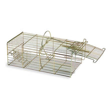 Multi-Catch Live Mouse Trap – Humane & Reusable