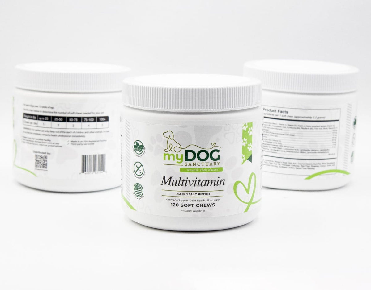 Sanctuary Strength Daily Multivitamin Chews
