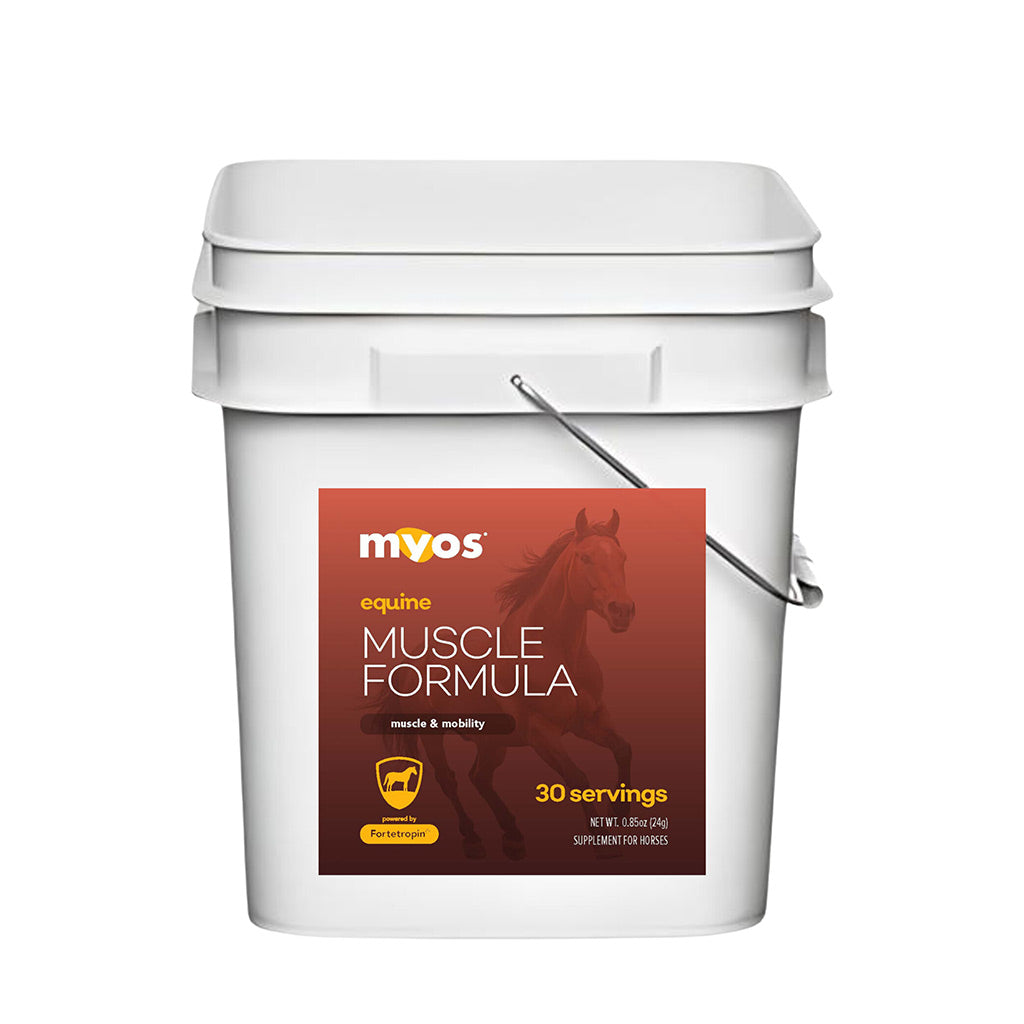 MYOS Equine Muscle Formula Packs For Horses