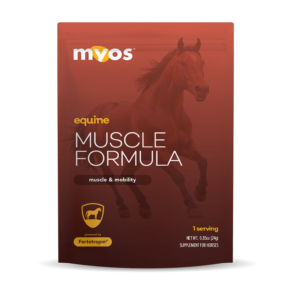 MYOS Equine Muscle Formula Packs For Horses