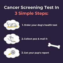 Oncotect Essential At-Home Dog Cancer Screening Test Kit