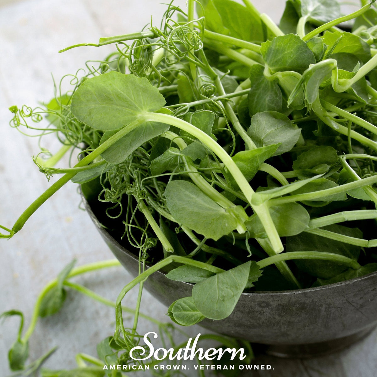 Field Shoots Peas – 100 Seeds