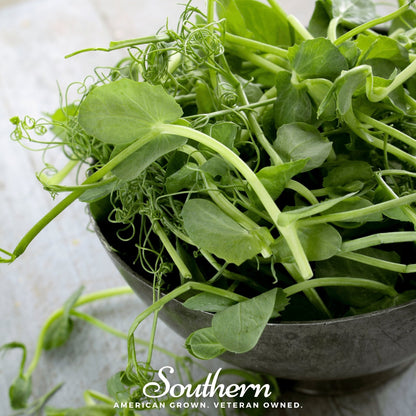 Field Shoots Peas – 100 Seeds
