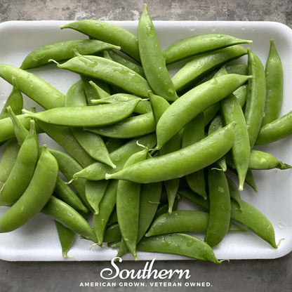 Sugar Snap Peas – 20 Seeds