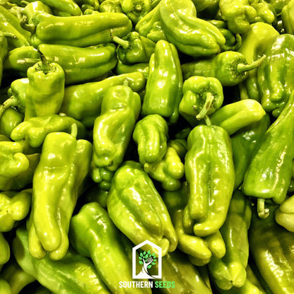 Pepper Seed Collection – 6 Essential Heirloom Peppers