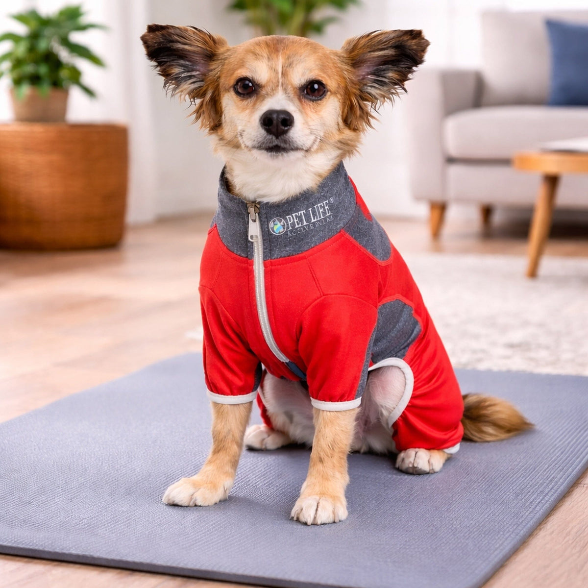 Pet Life ® Active 'Warm-Pup' Stretchy and Quick-Drying Fitness Dog Yoga Warm-Up Tracksuit
