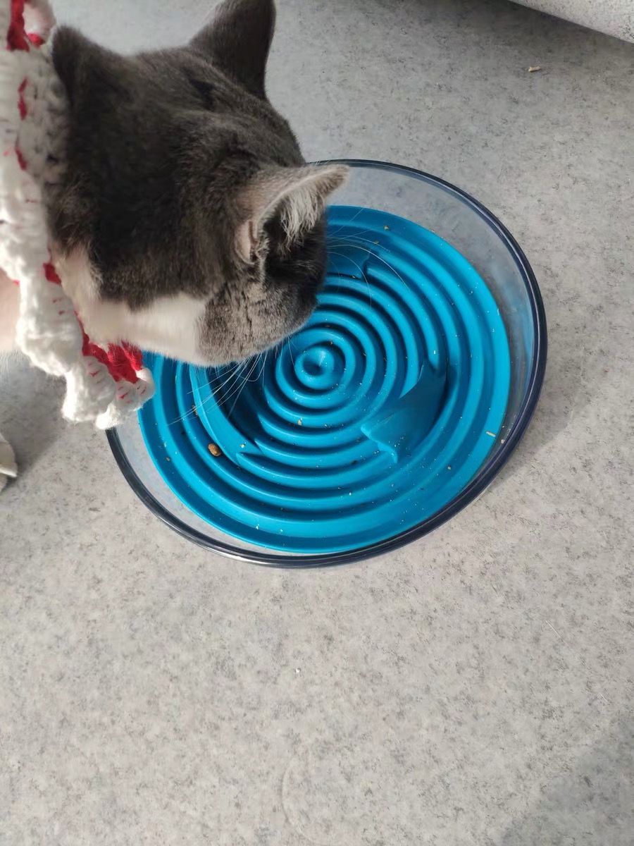Pet Life ® 'Cirlicue' Shark Fin Shaped Modern Slow Feeding Pet Bowl