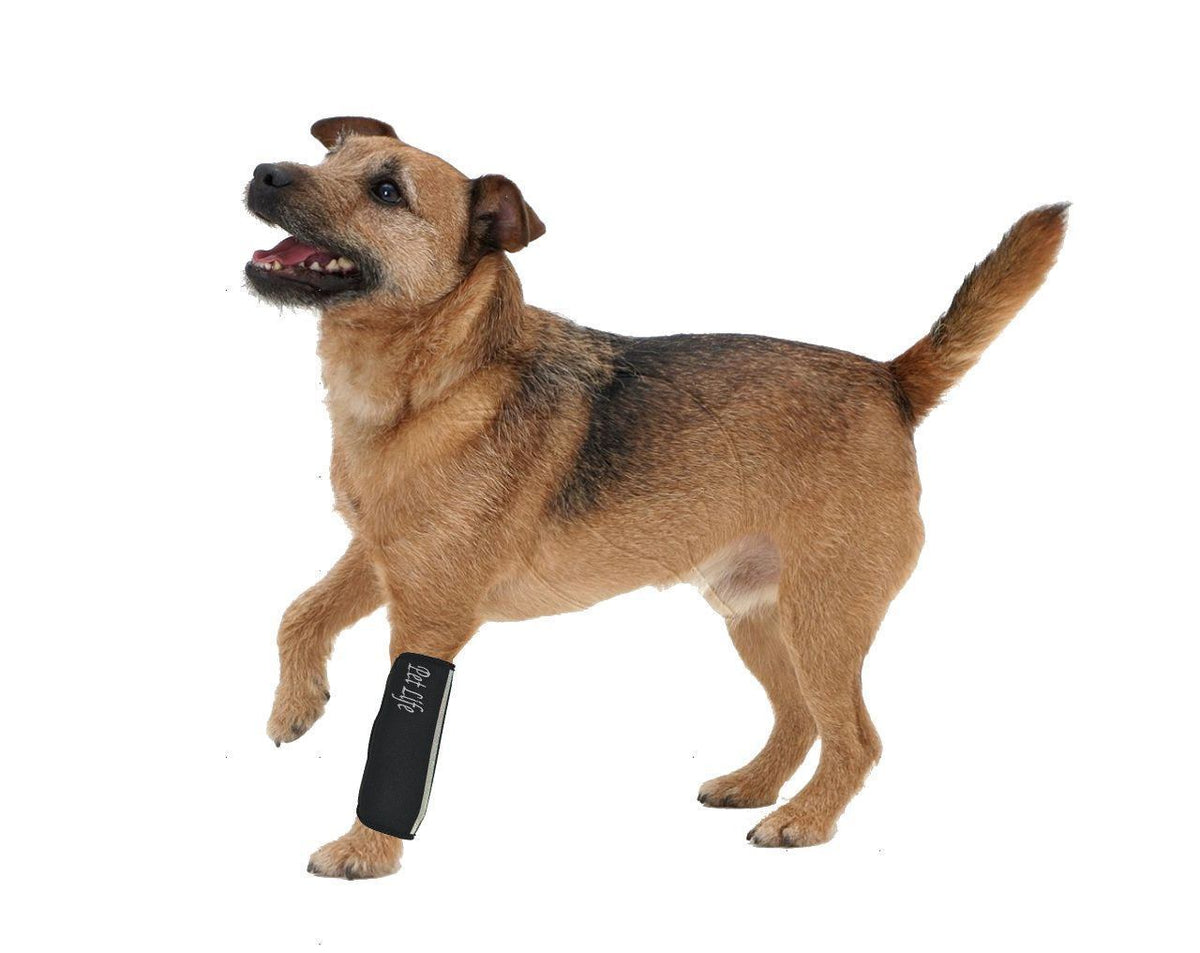 Pet Life ® 'Extreme-Neoprene' Joint Protective Safety Recovery and Reflective Pet Dog Sleeves - Set of 4