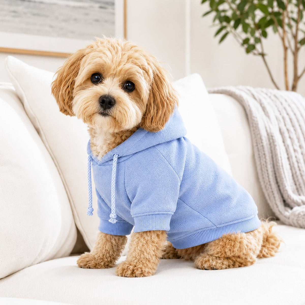 Pet Life ® French Terry Ultra-Soft Quick-Drying Hooded Dog Sweater