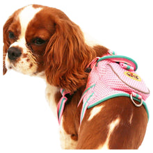 Pet Life ® 'Pocket Bark' Reflective Adjustable Fashion Pet Dog Harness w/ Hook-and-Loop Pouch and Dual Harness Rings