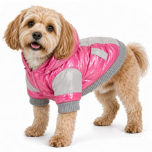Pet Life ® 'Vintage Aspen' 3M Insulated Sporty Ski Dog Jacket w/ Removable Hood
