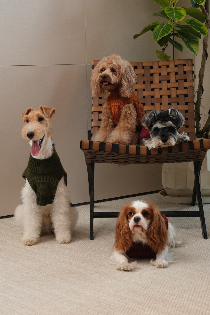 Pretzel Pet Sweater - Toffee Orange