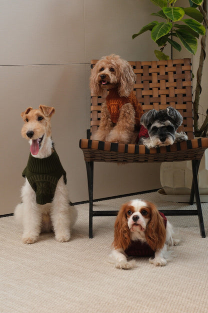 Pretzel Pet Sweater - Toffee Orange