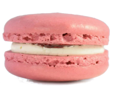 Macarons Organic Dog Treats