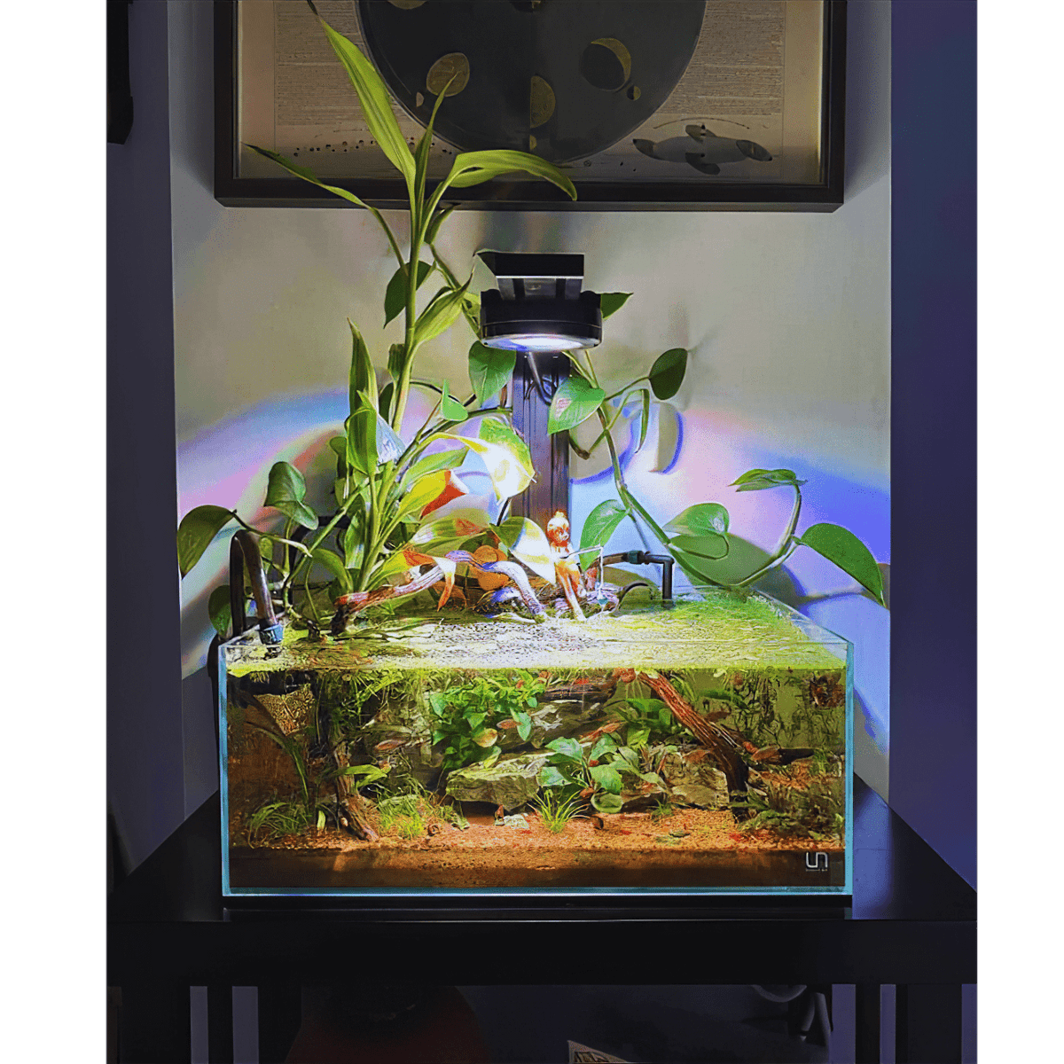 Pixel LED Bundles All Sizes