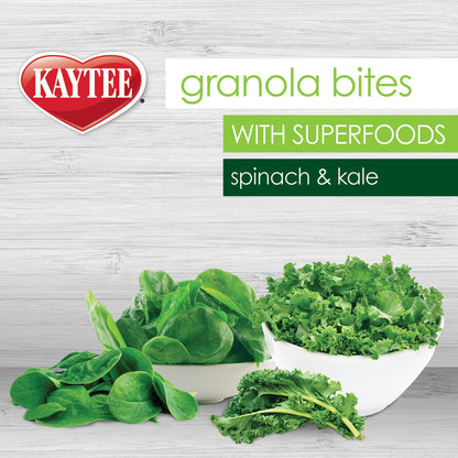 Kaytee Super Food Granola Bites Spinach and Kale Avian Treat 4.5oz