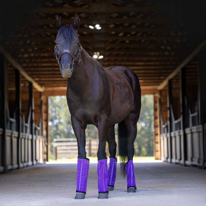 Jeffers Romper Stomper "Stomp-Free" Fly Boots for Horses, 4 pack