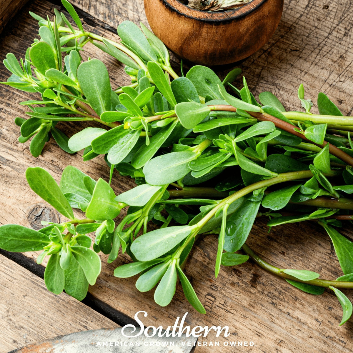 Purslane – 100 Seeds
