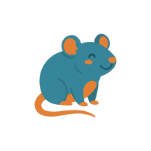 Rat Supplies, Food & Care Guides